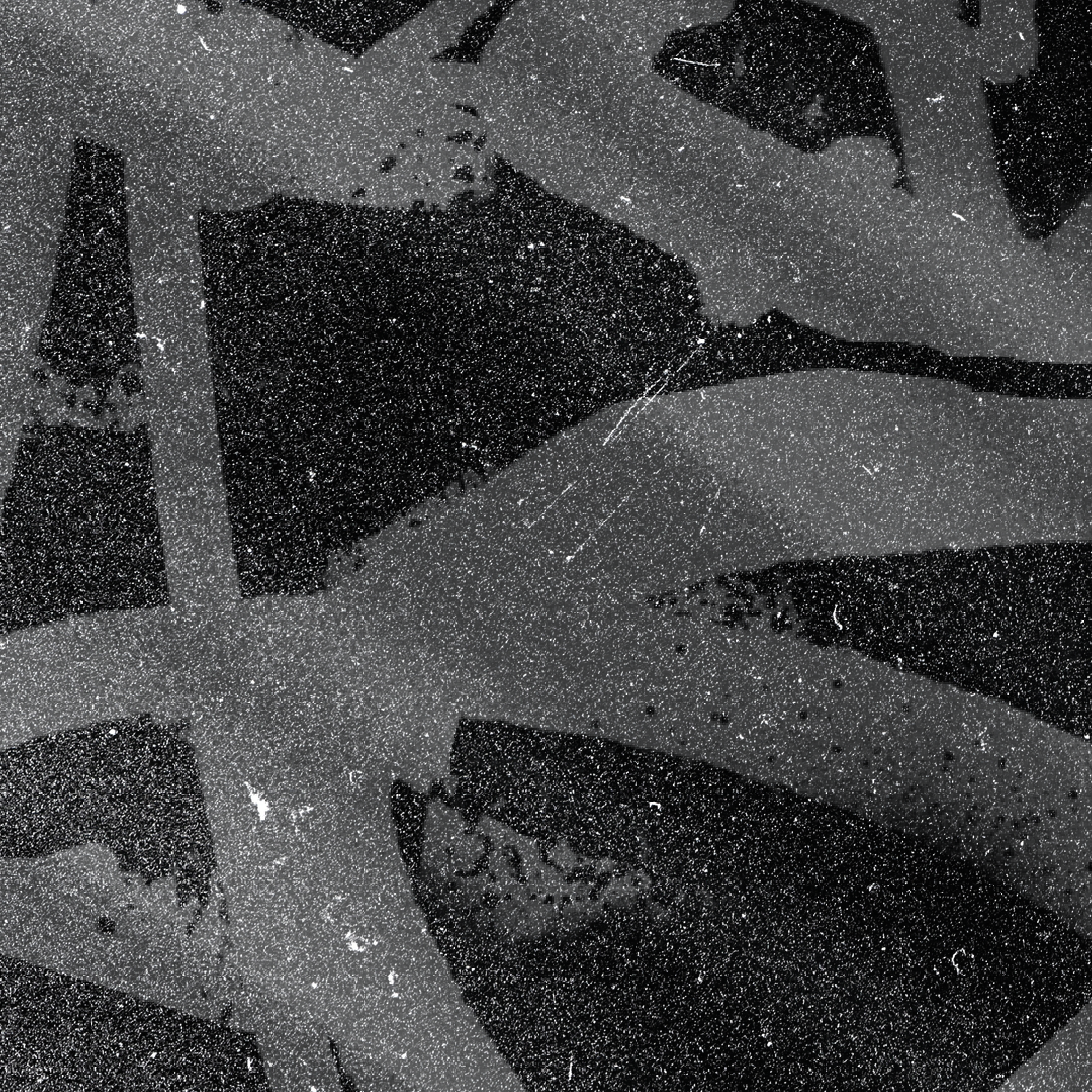 LOS FUNDAMENTALISTAS - LOGO